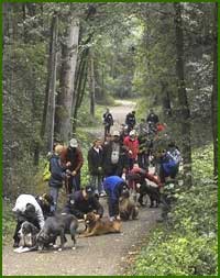 Teilnehmergruppe auf Waldweg