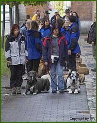 Teilnehmergruppe in der Stadt